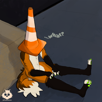 Jeff with it's head stuck inside a traffic cone.